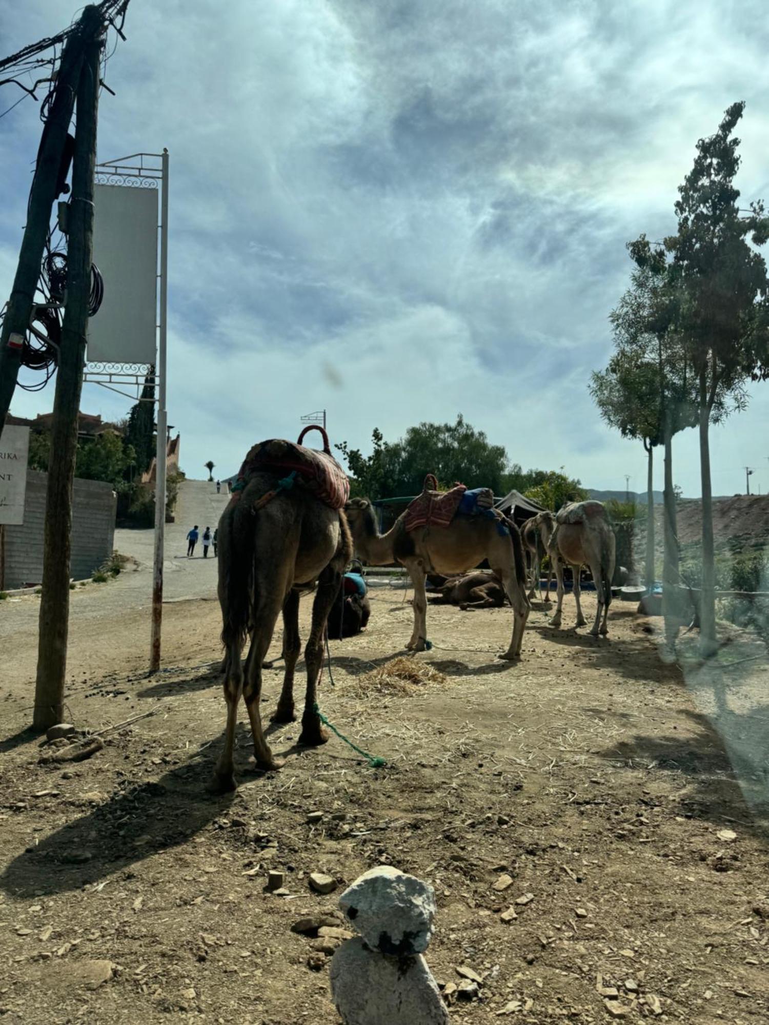 Jannate Louise Villa Marrakesh Exterior photo